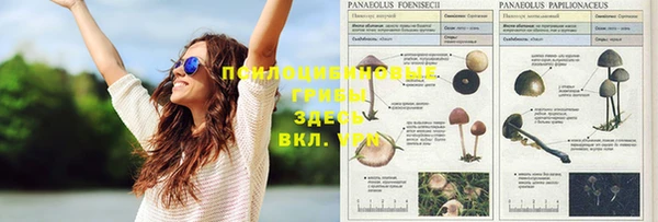 хмурый Алексин