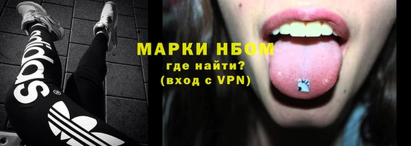 хмурый Алексин