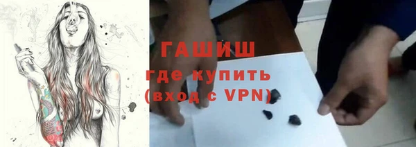 хмурый Алексин