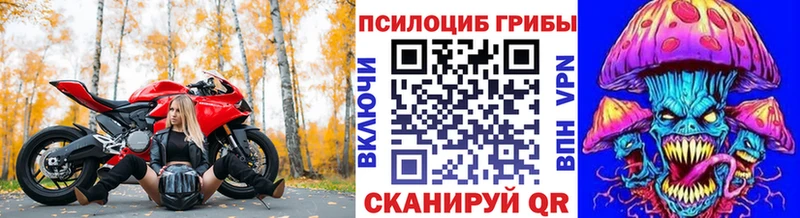 кракен tor  Находка  Галлюциногенные грибы Magic Shrooms  купить наркотики цена 