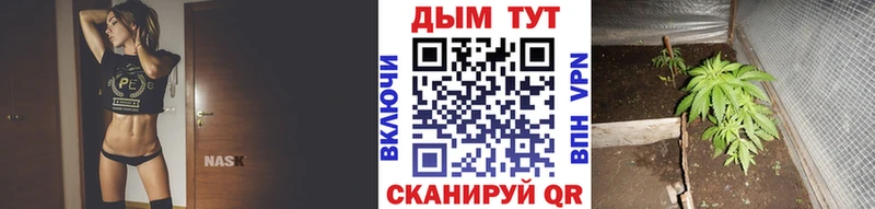 МАРИХУАНА Bruce Banner  Находка 